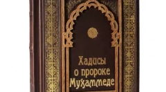 Pes v moslimskom dome: je to možné